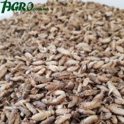 1agro.com.ua
