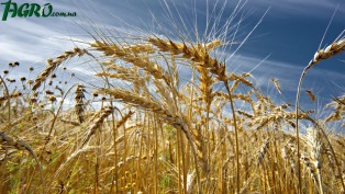 1agro.com.ua