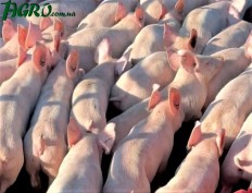 1agro.com.ua