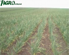 1agro.com.ua