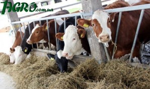 1agro.com.ua
