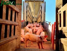 1agro.com.ua