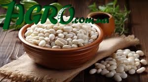 1agro.com.ua