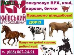 1agro.com.ua