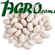 1agro.com.ua