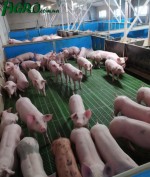 1agro.com.ua