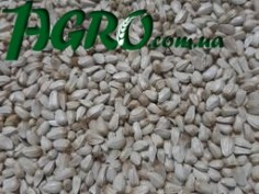 1agro.com.ua