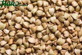 1agro.com.ua