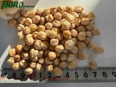 1agro.com.ua