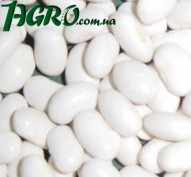 1agro.com.ua