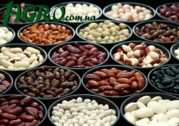 1agro.com.ua