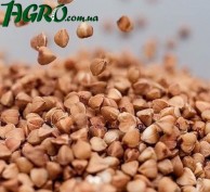 1agro.com.ua