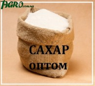 1agro.com.ua