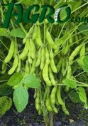 1agro.com.ua