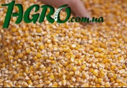 1agro.com.ua