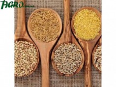 1agro.com.ua