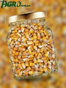 1agro.com.ua
