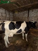 1agro.com.ua