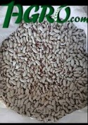 1agro.com.ua