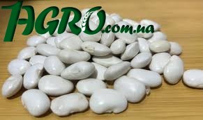 1agro.com.ua