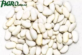 1agro.com.ua