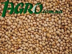 1agro.com.ua