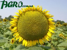 1agro.com.ua