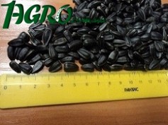 1agro.com.ua