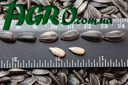 1agro.com.ua