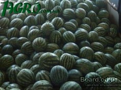 1agro.com.ua