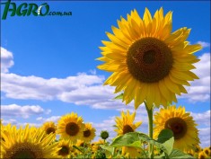 1agro.com.ua
