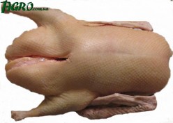 1agro.com.ua