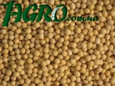 1agro.com.ua