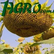 1agro.com.ua