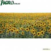 1agro.com.ua