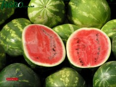 1agro.com.ua