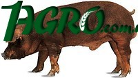 1agro.com.ua