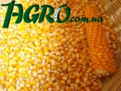 1agro.com.ua