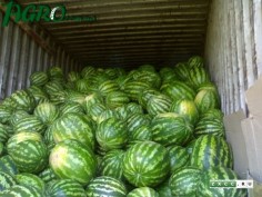 1agro.com.ua