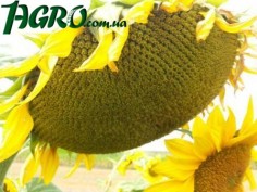 1agro.com.ua