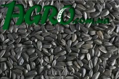 1agro.com.ua