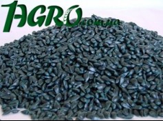 1agro.com.ua