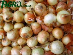 1agro.com.ua