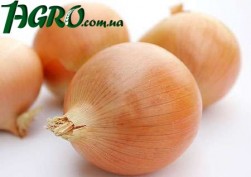 1agro.com.ua