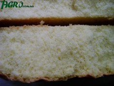 1agro.com.ua