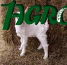 1agro.com.ua