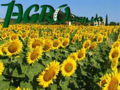 1agro.com.ua
