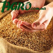 1agro.com.ua
