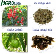 1agro.com.ua