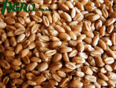 1agro.com.ua